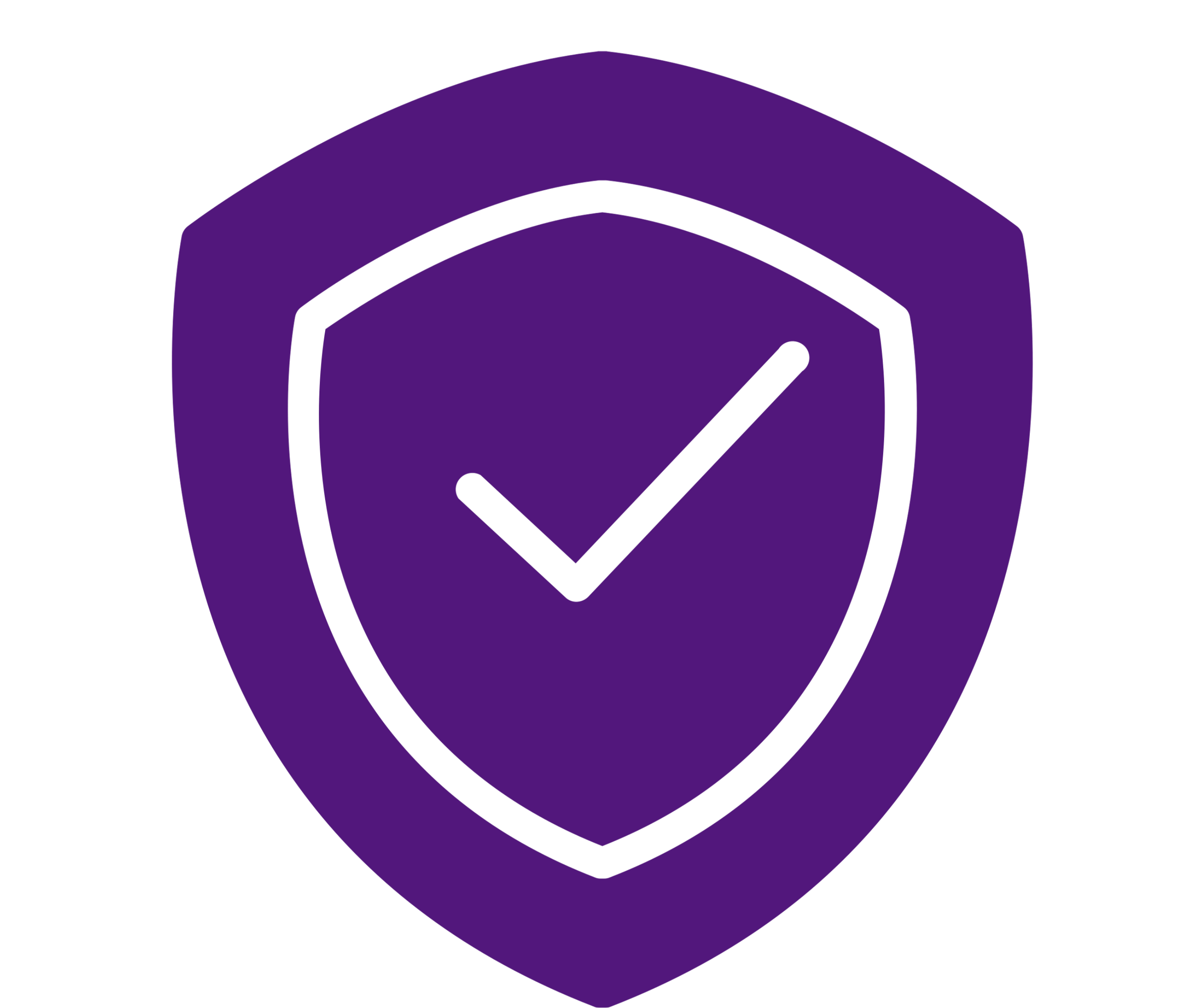 Shield Icon